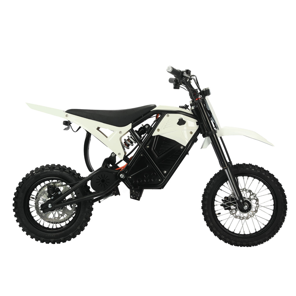 Electric motorcycles1